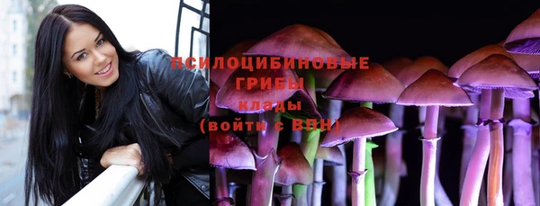 spice Карпинск