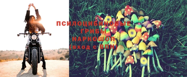 винт Касимов