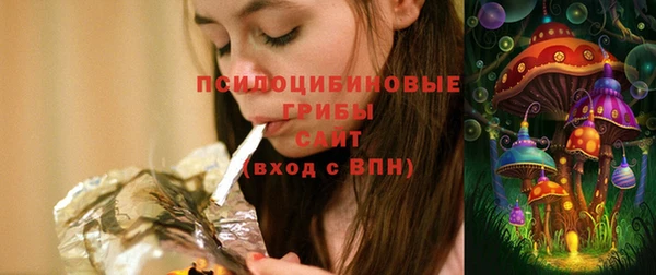 spice Карпинск