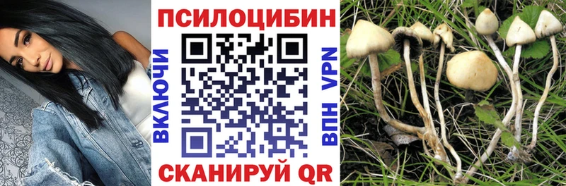 Галлюциногенные грибы ЛСД  купить наркотик  Долгопрудный 